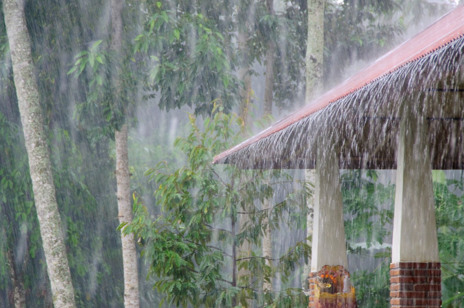 バリ島の雨の降り方